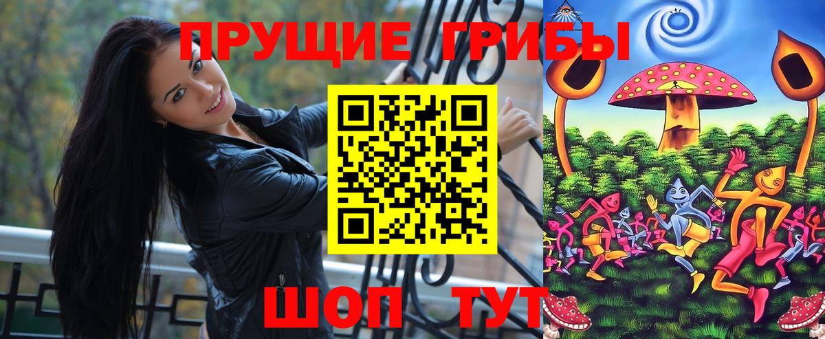 дарнет шоп  Псилоцибиновые грибы GOLDEN TEACHER  Вход с VPN  Дубна  Галлюциногенные грибы Psilocybine cubensis 
