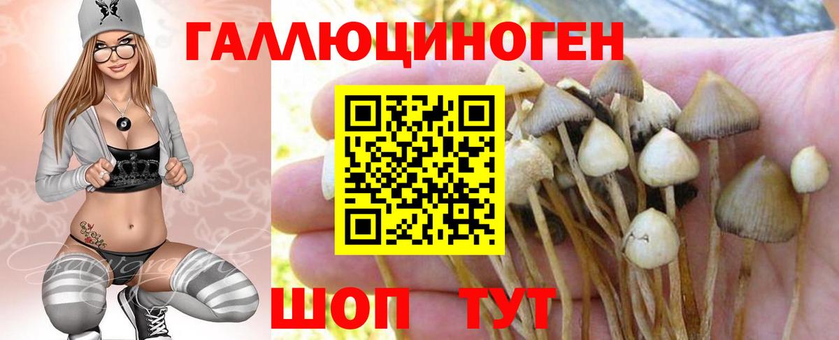 Галлюциногенные грибы Magic Shrooms Дубна